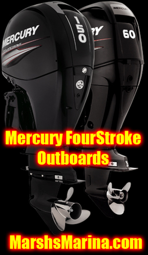 Mercury Four Stroke Outboards